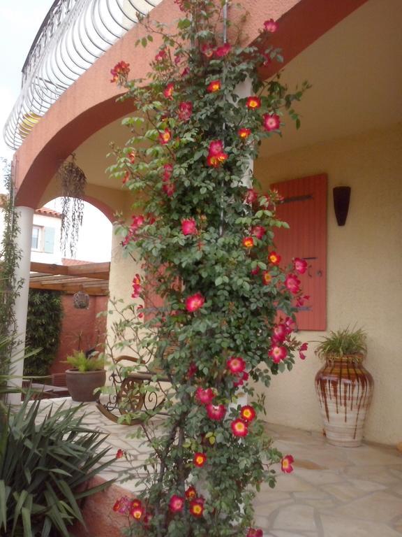 La Gentoliere Bed & Breakfast Pollestres Dış mekan fotoğraf
