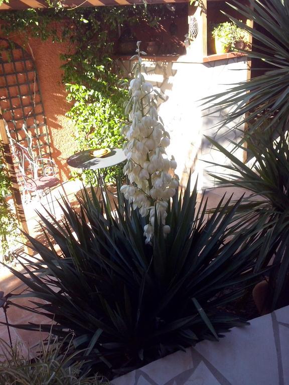 La Gentoliere Bed & Breakfast Pollestres Dış mekan fotoğraf