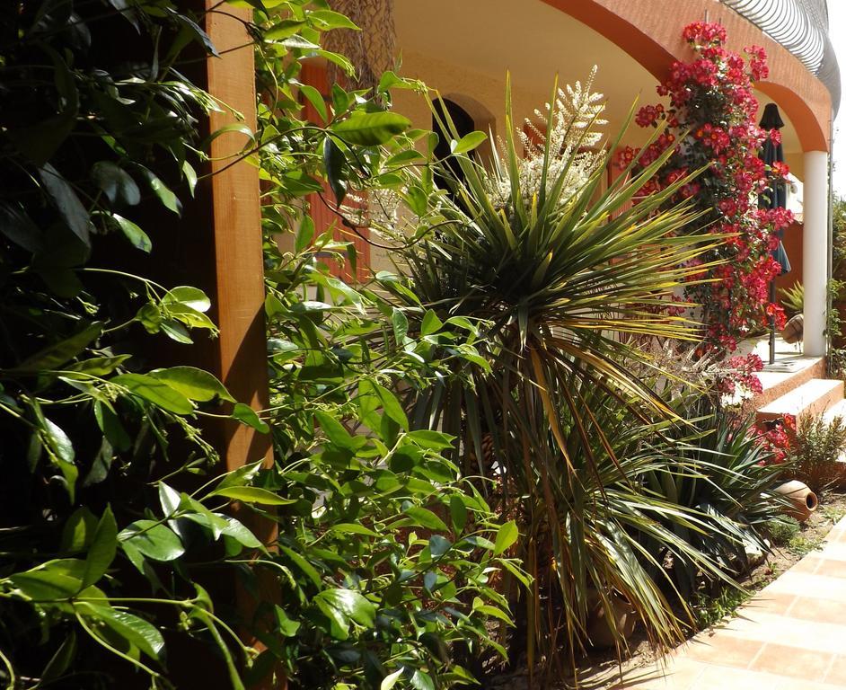 La Gentoliere Bed & Breakfast Pollestres Dış mekan fotoğraf